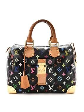 Louis Vuitton Multicolor Speedy 30 #311008L18B